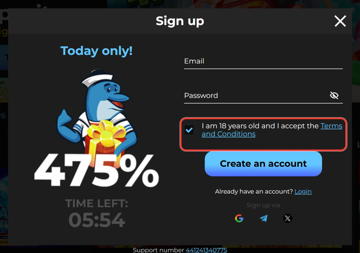 Checkbox confirming age 18+ and acceptance of the Terms and Conditions